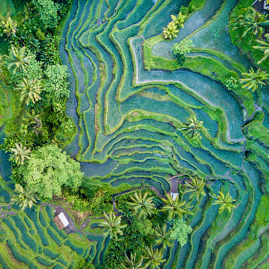 About Sustainability_380x380
