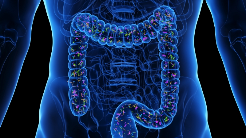 Searchable, description alt text for the image