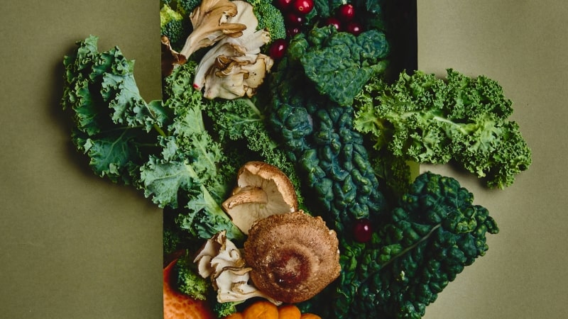 vimeo video